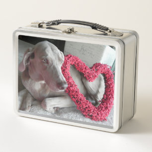 Love, Rain - Weimaraner Dog Metal Lunch Box