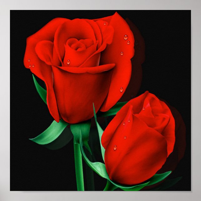 Love Red Rose Black Poster (Front)