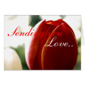 Love Red Tulip Card (Front Horizontal)