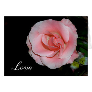 Love Rose Cards