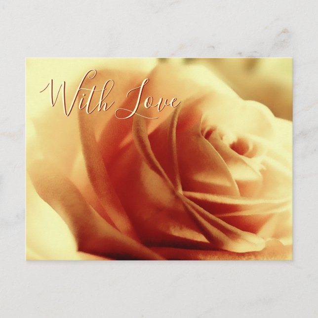 Love Rose Flower Customizable Postcard (Front)