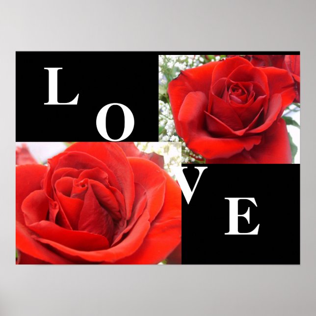 LOVE Roses Poster (Front)