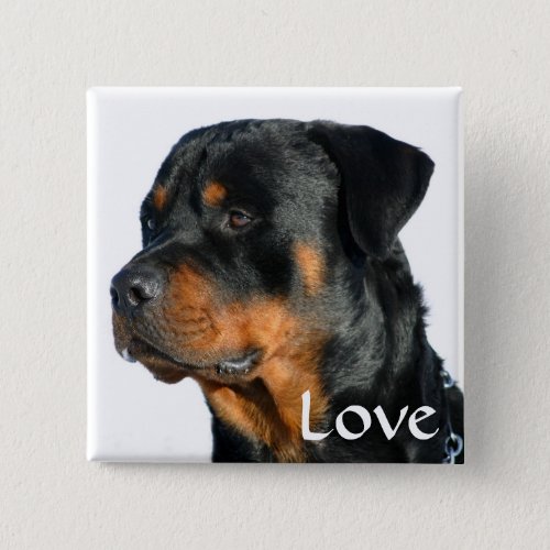 Love Rottweiler Black  Brown Puppy Dog Pin Button