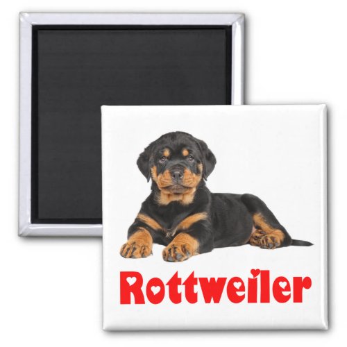 Love Rottweiler Brown  Black Puppy Dog Cartoon Magnet