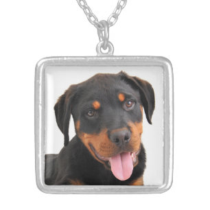 Love Rottweiler Puppy Dog Pendant Necklace