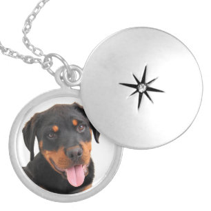 Love Rottweiler Puppy Dog Pendant Necklace