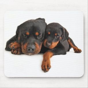 Love Rottweiler Puppy Dog White Mousepad