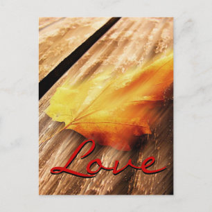 Love Script Falling Leave Postcard
