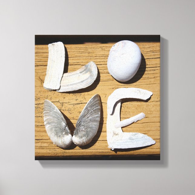 LOVE Sea Shell Canvas Print (Front)