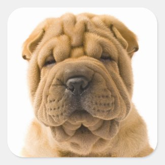 Love Shar Pei Puppy Dog Sticker / Seals