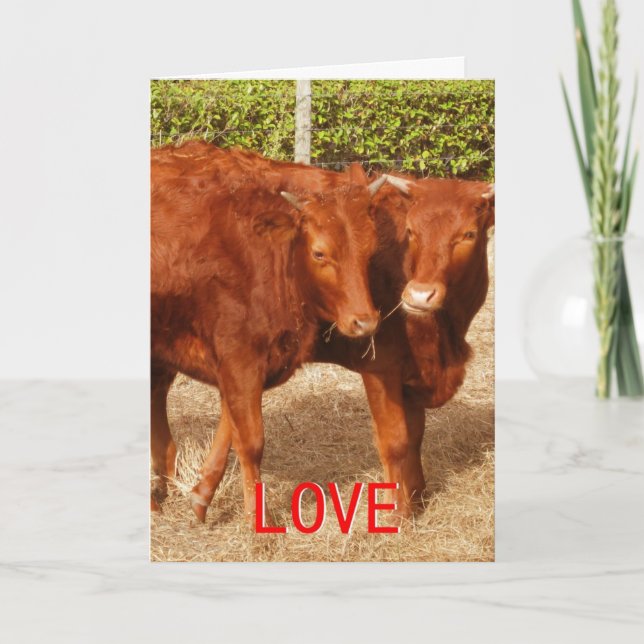 Love Sharing Holiday Card (Front)