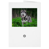 Love Siberian Husky Puppy Dog - Blank (Back)