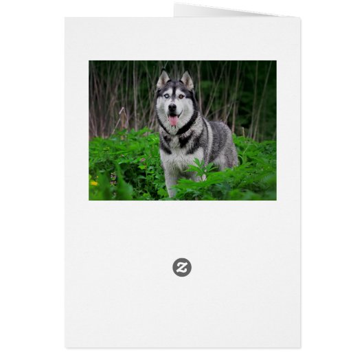 Love Siberian Husky Puppy Dog - Blank (Back)