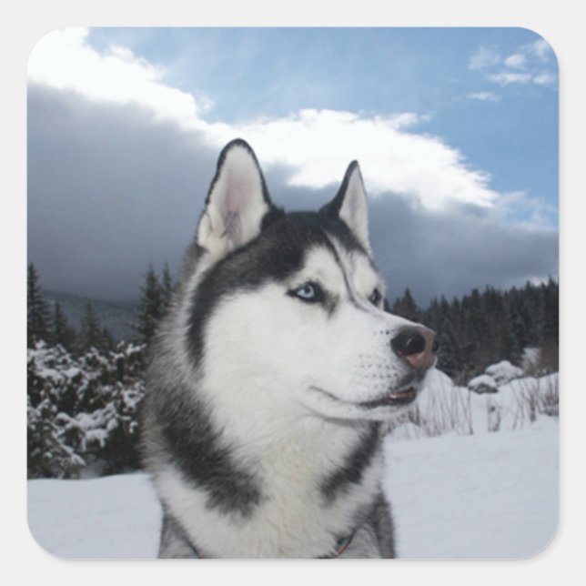 Love Siberian Husky Puppy Dog Greeting Stickers (Front)