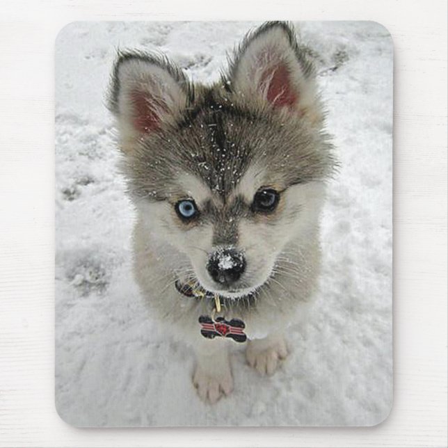 Love Siberian Husky Puppy Dog In Snow Mousepad (Front)