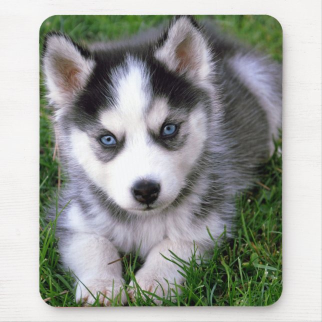 Love Siberian Husky Puppy Dog  Mousepad (Front)