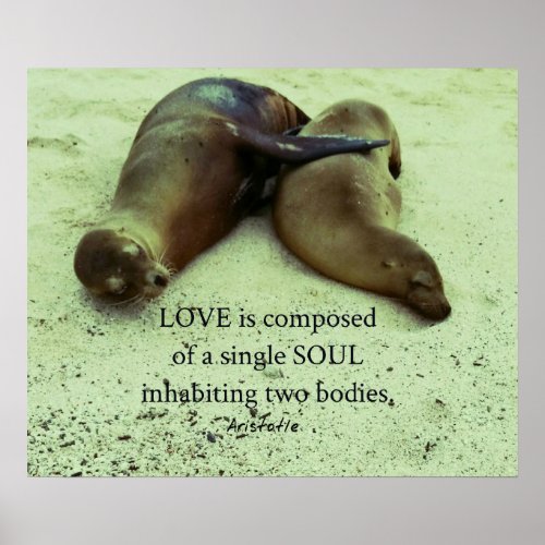 Love soulmates Aristotle quote Poster