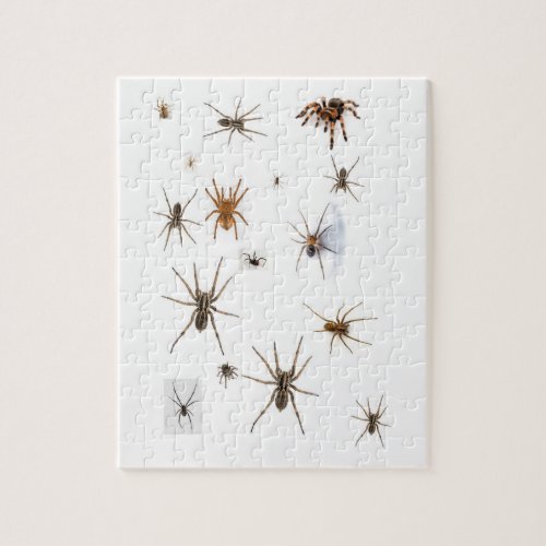 Love Spiders Jigsaw Puzzle