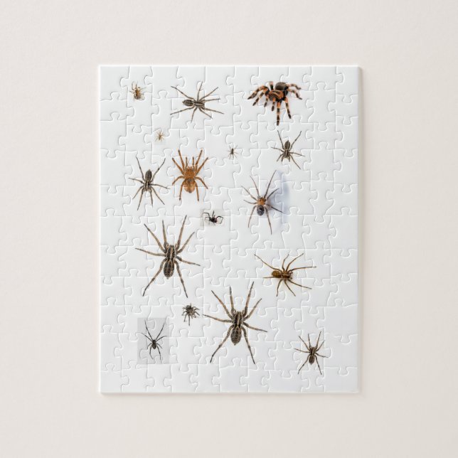 Love Spiders! Jigsaw Puzzle (Vertical)