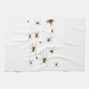 Love Spiders! Kitchen Towel
