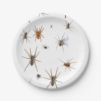 Love Spiders! Paper Plates
