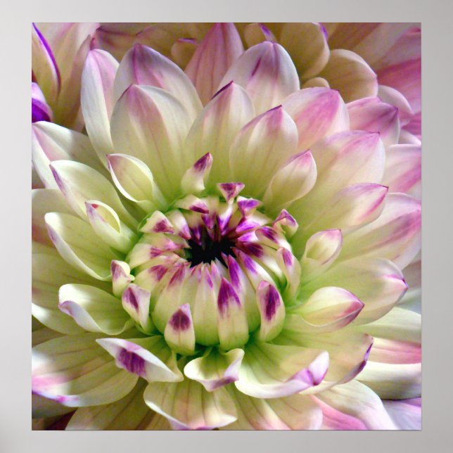 Love Spreading_Poster Poster (Front)