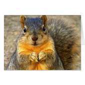 Love Squirrel_ (Front Horizontal)