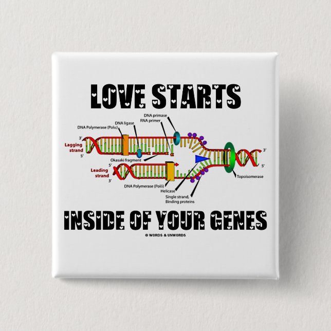 Love Starts Inside Of Your Genes (DNA Replication) Button (Front)