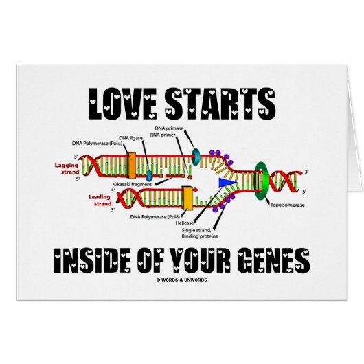 Love Starts Inside Of Your Genes (DNA Replication) Cards (Front Horizontal)