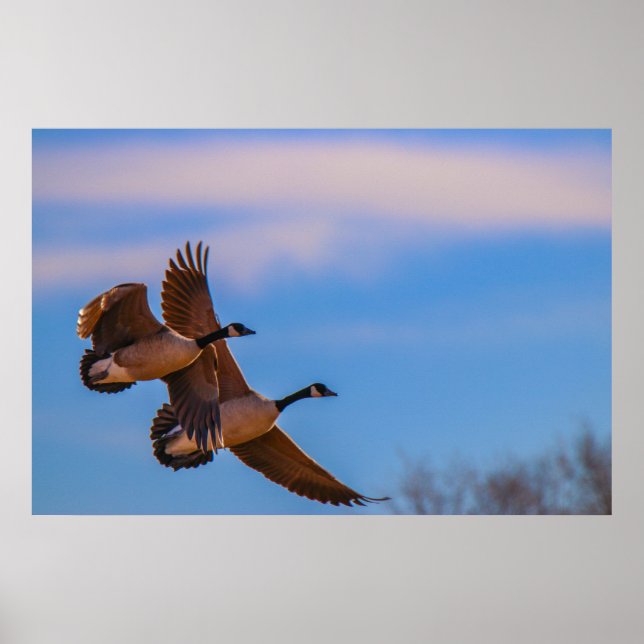 love stays together poster (Front)