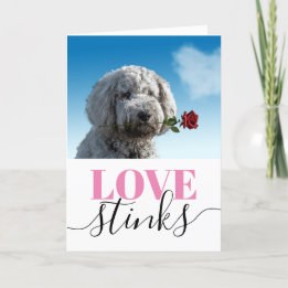 Love Stinks Funny Photo Valentine's Day Holiday Card