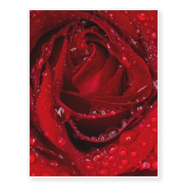 Love Temporary Tattoos (Front)