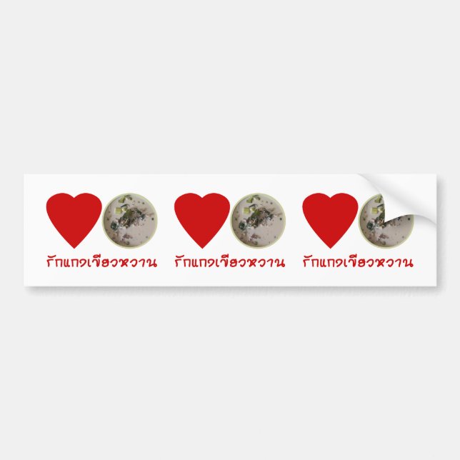 Love Thai Green Curry ... Thailand Street Food Bumper Sticker (Front)