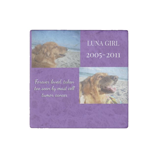 Love That Lives Beyond Loss Stone Magnet (Front)