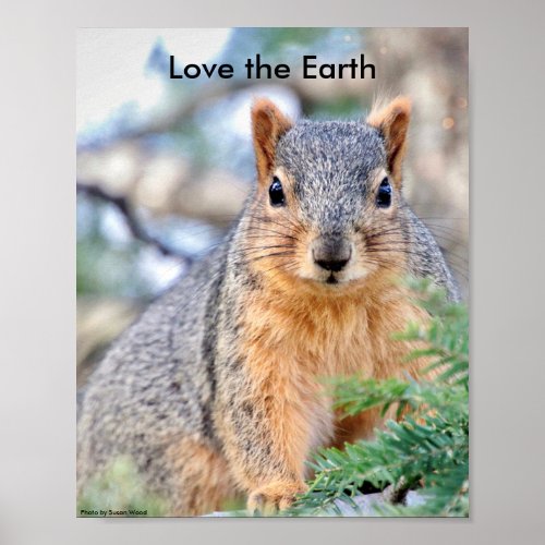 Love the Earth Poster