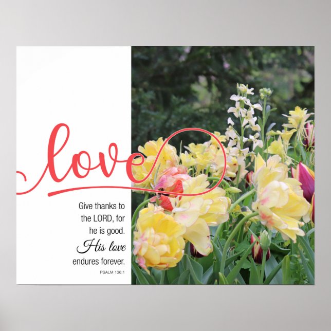 Love Tulip Photograph Psalm 136:1 Poster (Front)