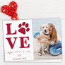 Love Valentines Day Pet Dog Photo Holiday Card
