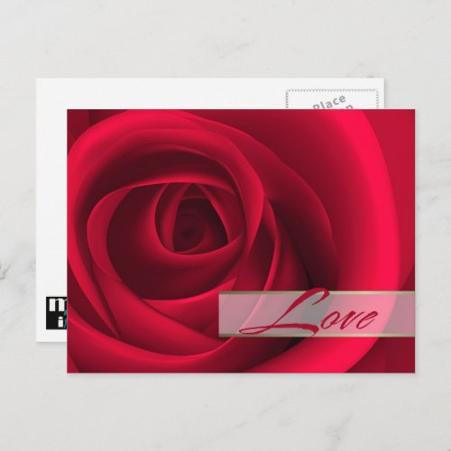 Love Valentines Day Red Rose  Holiday Postcard