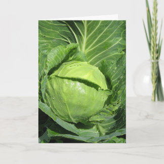 Love Veggies Greeting Card