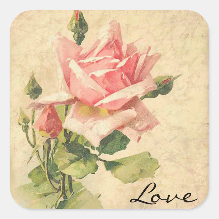 Vintage Greeting Card Blank Hallmark Embossed Roses Pink Peach Rose 