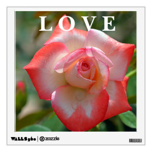 LOVE WALL DECAL