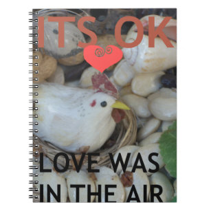 Love was in the Air Notebook