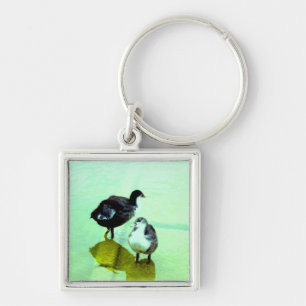 love, water and we live keychain