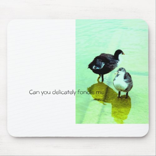 love water and we live mouse pad