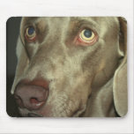 Love Weimeraner  Mouse Pad