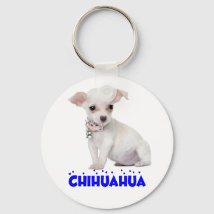 Love White Chihuahua Puppy Dog Blue Heart Keychain