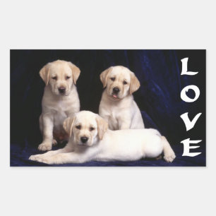 Love White Labrador Retriever Puppy Dog Stickers