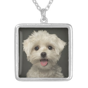 Love White Maltese Puppy Dog Pendant Necklace