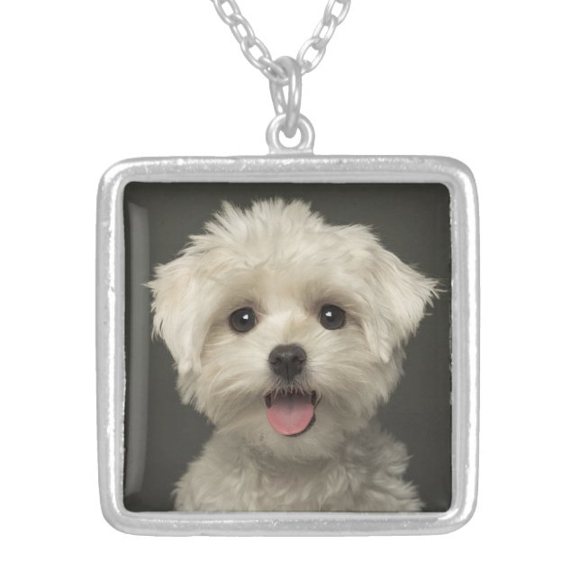 Love White Maltese Puppy Dog Pendant Necklace (Front)