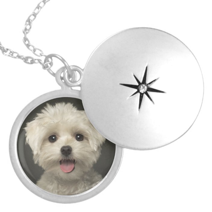 maltese pendant